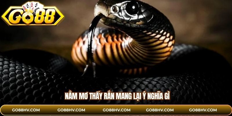 Nằm mơ thấy rắn mang lại ý nghĩa gì