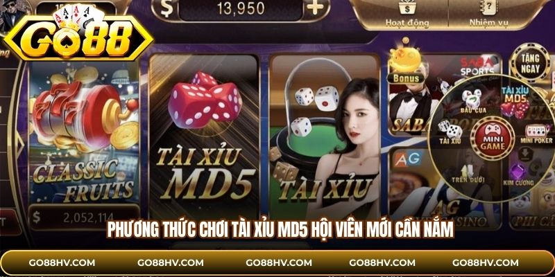 Phương thức chơi tài xỉu MD5 hội viên mới cần nắm