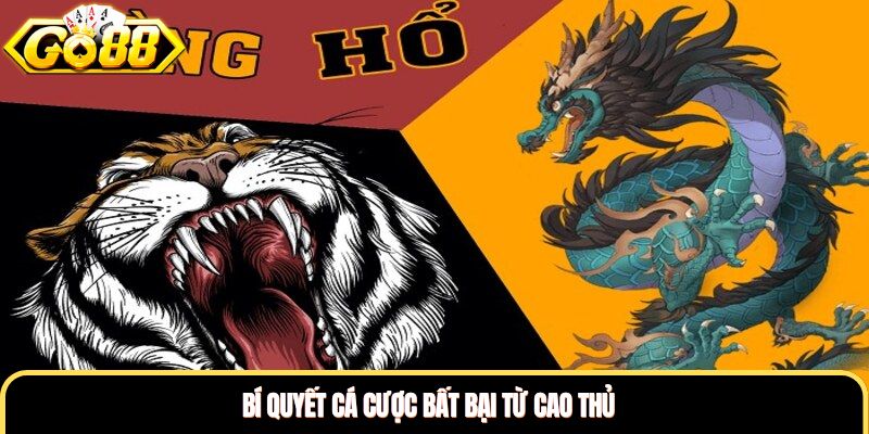 Bí quyết cá cược bất bại từ cao thủ