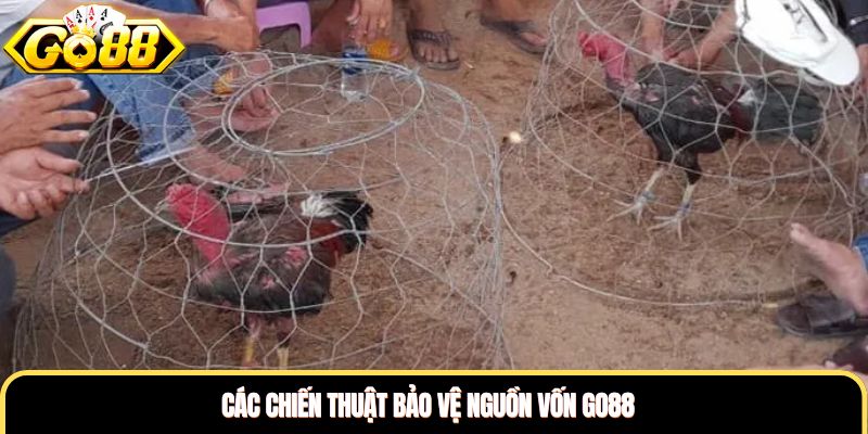 Các chiến thuật bảo vệ nguồn vốn Go88