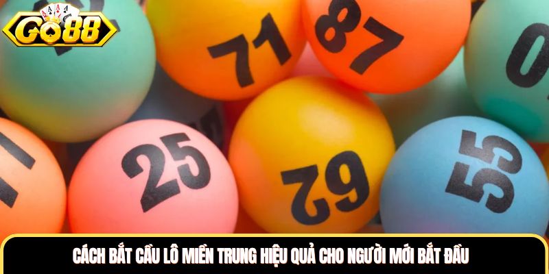 Cách Bắt Cầu Lô Miền Trung Hiệu Quả Cho Người Mới Bắt Đầu