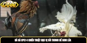 Đá Gà CPC1: 4 Chiến Thuật Đọc Vị Sới Thomo Để Gom Lúa