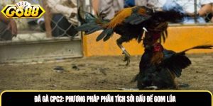 Đá Gà CPC2: Phương Pháp Phân Tích Sới Đấu Để Gom Lúa