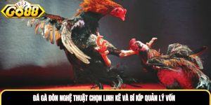 Đá Gà Đòn Nghệ Thuật Chọn Linh Kê Và Bí Kíp Quản Lý Vốn