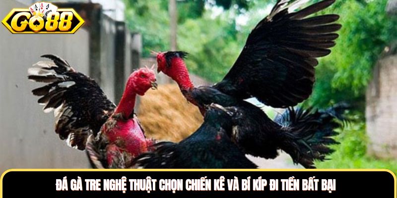 Đá Gà Tre Nghệ Thuật Chọn Chiến Kê Và Bí Kíp Đi Tiền Bất Bại
