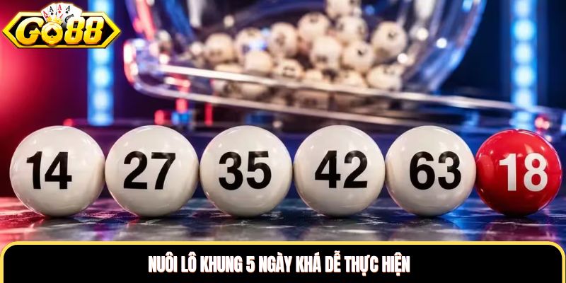 Nuôi lô khung 5 ngày khá dễ thực hiện Nuôi lô khung 5 ngày khá dễ thực hiện