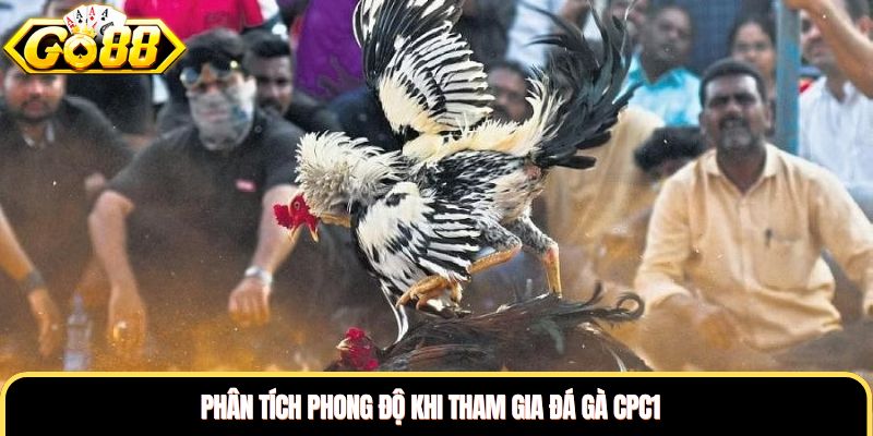 Phân tích phong độ khi tham gia đá gà CPC1