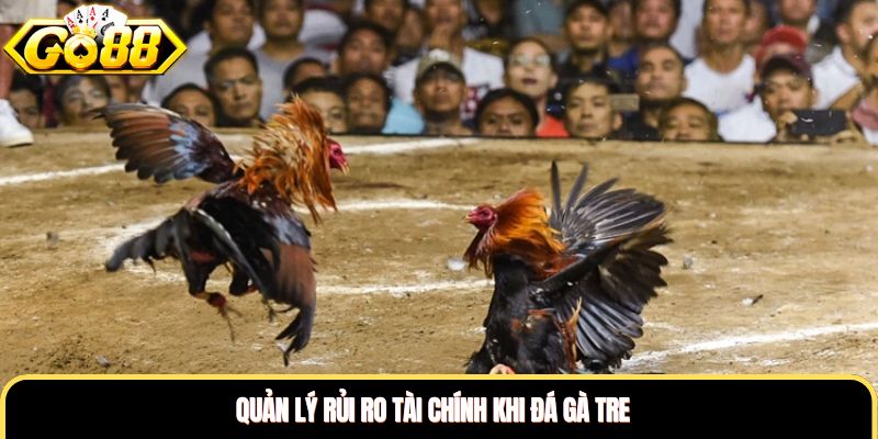 Quản lý rủi ro tài chính khi đá gà tre