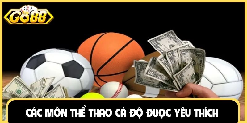 Các môn thể thao cá độ được yêu thích